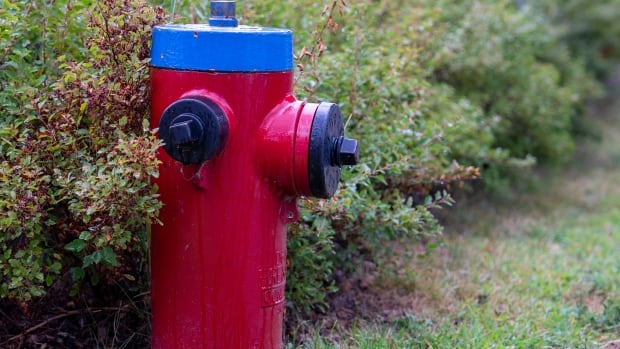 The municipality wants to know why this happened and prevent recurrence. The mayor says when fire hydrants are not opened correctly, it can damage the soil and eventually lead to the need for repair. A red fire hydrant