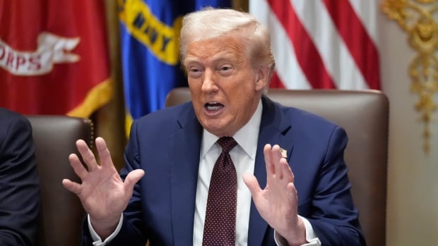 President Donald Trump speaks during a cabinet meeting, Tuesday, Aug. 26, 2025, at the White House in Washington. (AP Photo/Mark Schiefelbein) A seated person holds up their hands as they speak.