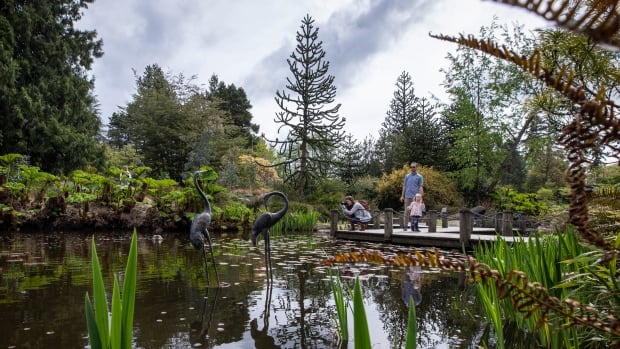 People take photos on a pier in a garden
