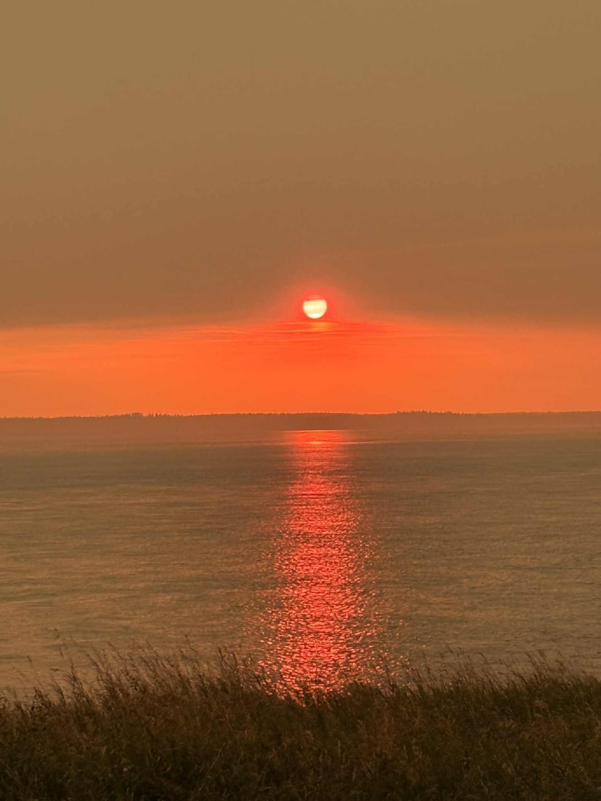 An orange sky.