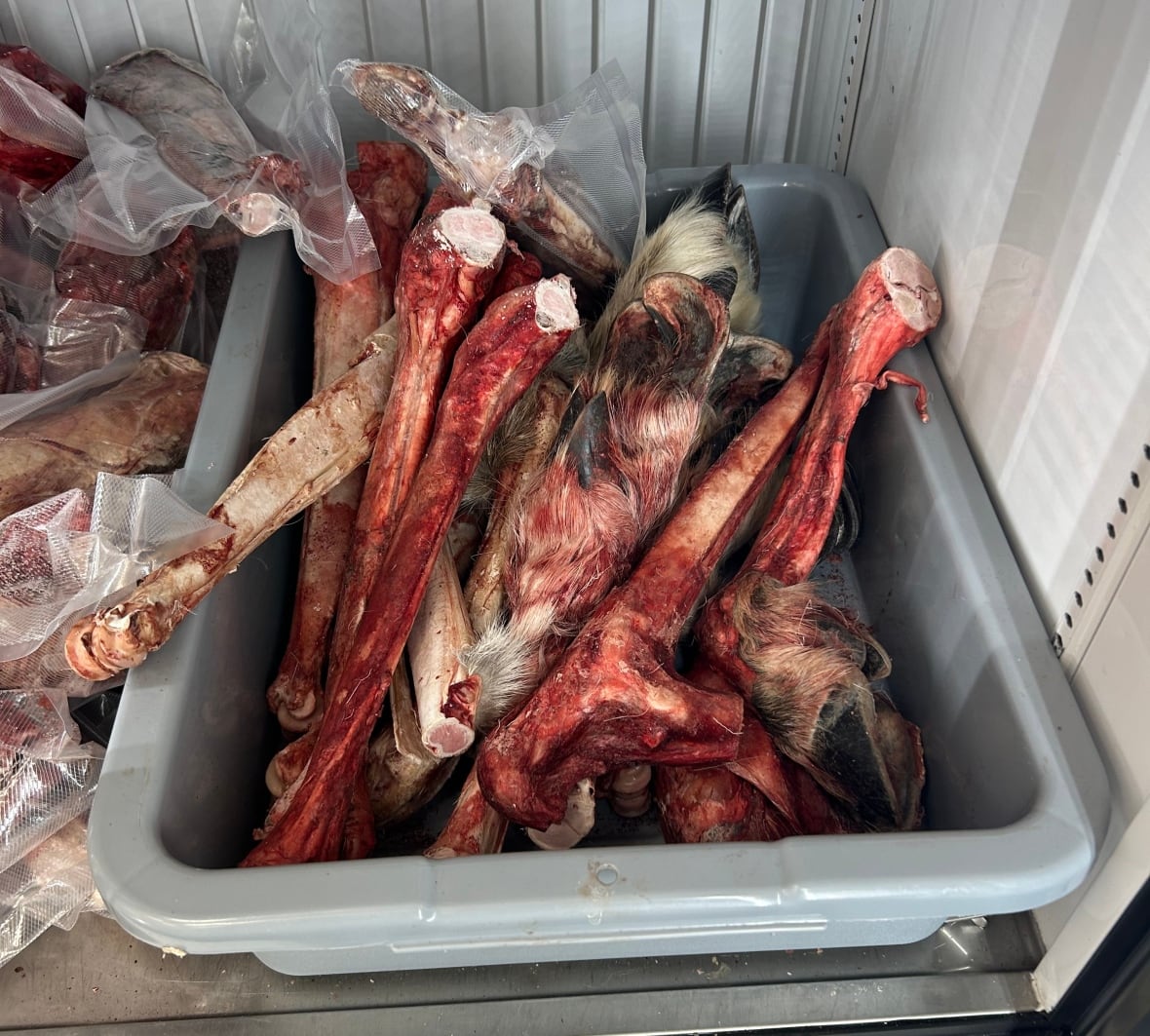 Frozen meat pieces in a large container inside the freezer