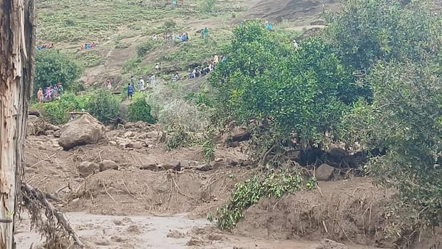 At least 1,000 dead after landslide in Sudan’s Darfur wipes out village