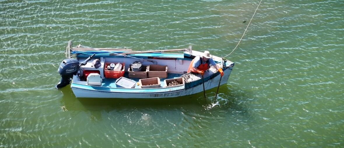 Drove view of a single fishing boat in blue-green water, with a person fishing oysters