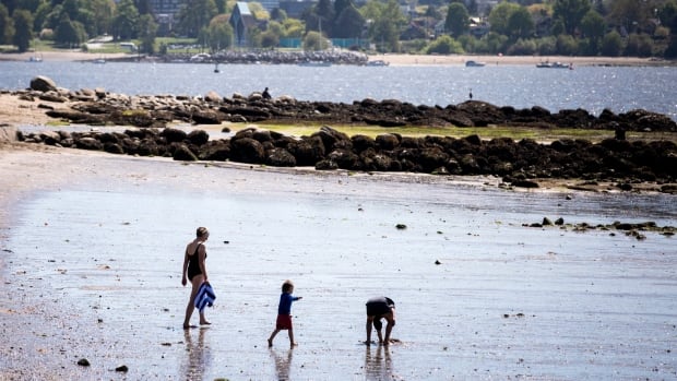 Three people walk along wet sand on a sunny day.