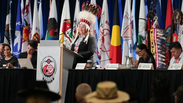 A woman in a chief's headdress speaks at a podium in front of an array of flags.
