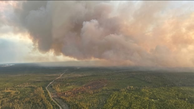 Large plumes of smoke are seen above a green forest.