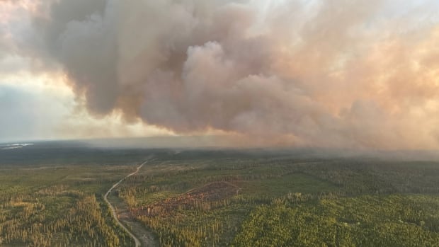 Large plumes of smoke are seen above a green forest.