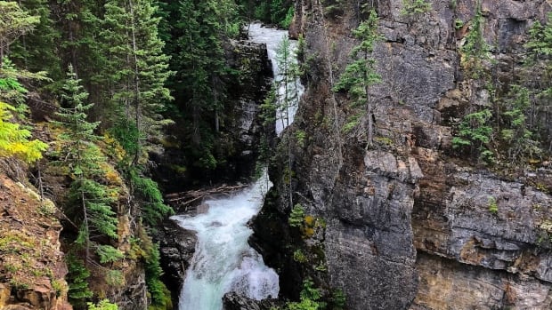 A small waterfall in a wooded and rocky area.