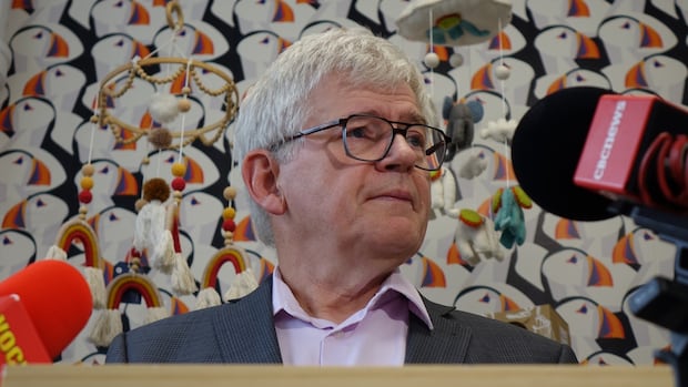 Newfoundland and Labrador NDP Vows to Remove HST on Children's Essentials Ahead of Provincial Election