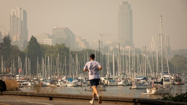 A man runs past a harbour of docked boats on a smoky day.