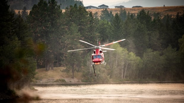 red Helicopter hovering near lake in a amber-hued forested area.