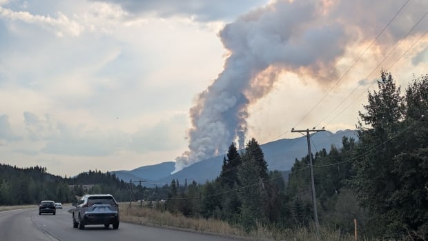 Plumes of smoke are seen off in the distance behind a road.