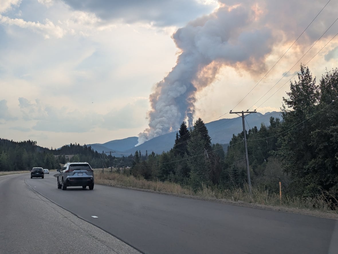 Plumes of smoke are seen off in the distance behind a road.