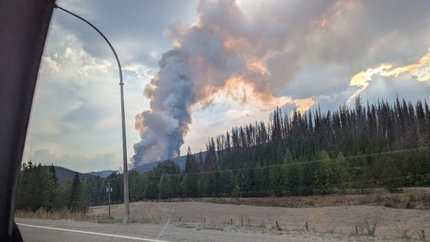 A wildfire is seen burning from a car window.