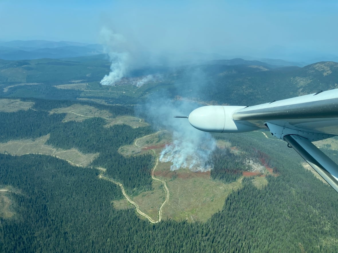 Plumes of smoke are seen from a plane.