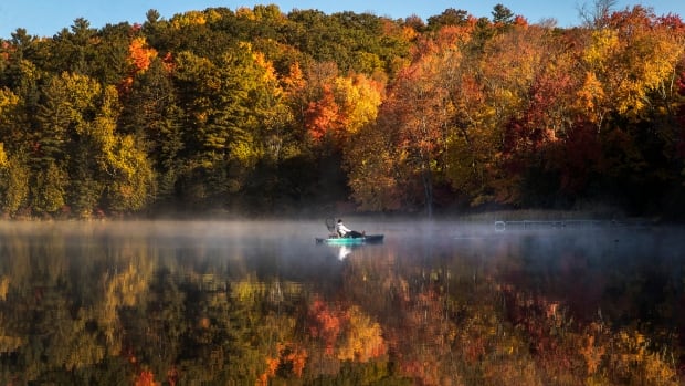 ont-fall-foliage-20241014.jpg