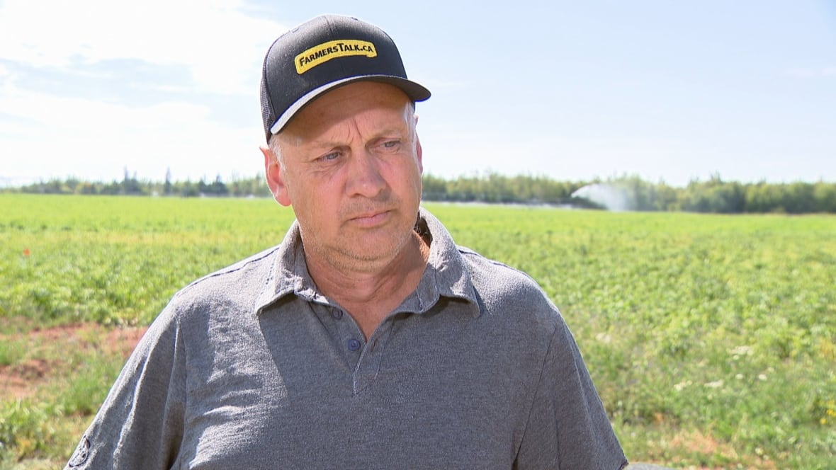 A man in a gray polo shirt and a black "FARMERSTALK.CA" baseball cap stands in a field.