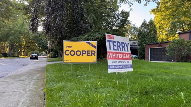ward-8-election-signs.jpg