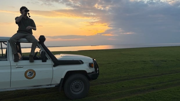 Nicholas Wright, a PhD student from the University of British Columbia, spent his summer in Gorongosa, Mozambique studying the recent reintroduction of wild dogs to the landscape. A silhouette of a guy with binoculars sitting on the roof of a truck on a lush green field with a beautiful sunset behind him that's mirrored in the body of water behind him.