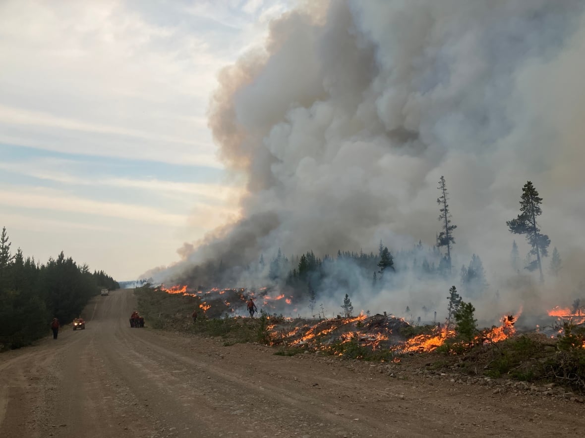 Fire crew conducting hand ignitions along the Beef Trail Creek forest service road.