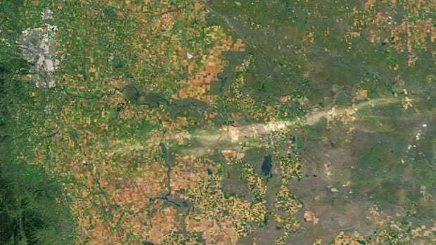 A 200-kilometre, white-ish band, known as a hail scar, shows the path of a storm that caused millions in crop damage across Southern Alberta last month. Calgary appears in the top left, while the body of water int he centre is Lake Newell, south of the city of Brooks. NASA A satellite image shows the path of a hail storm on Aug. 20 across southern Alberta.