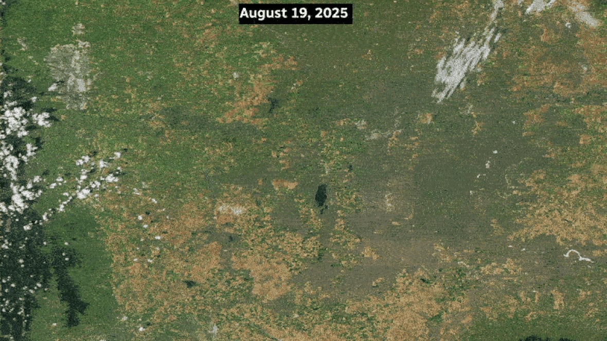 A satellite image of southern Alberta depicts a line of damage caused by high air and Jai and a line of soil displacement. 