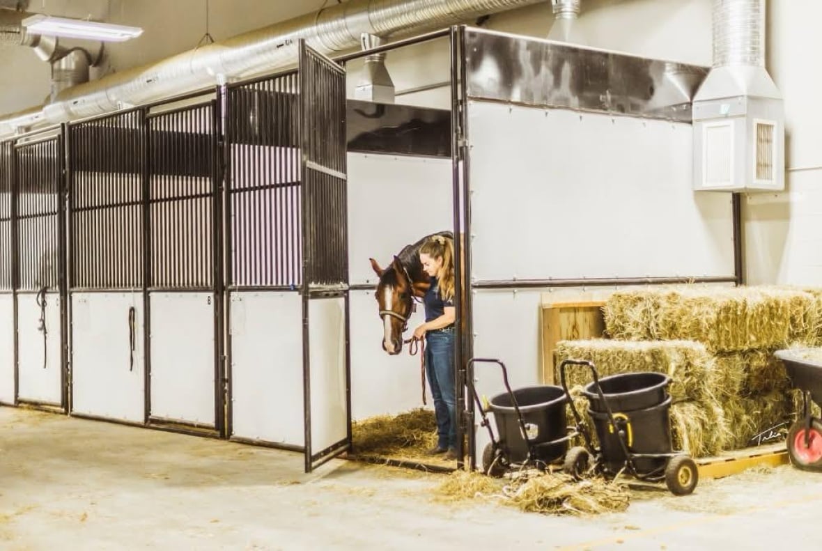 After the flight from Europe to Calgary, foreign horses services carry performance horses to the International Animals at YYC airport.