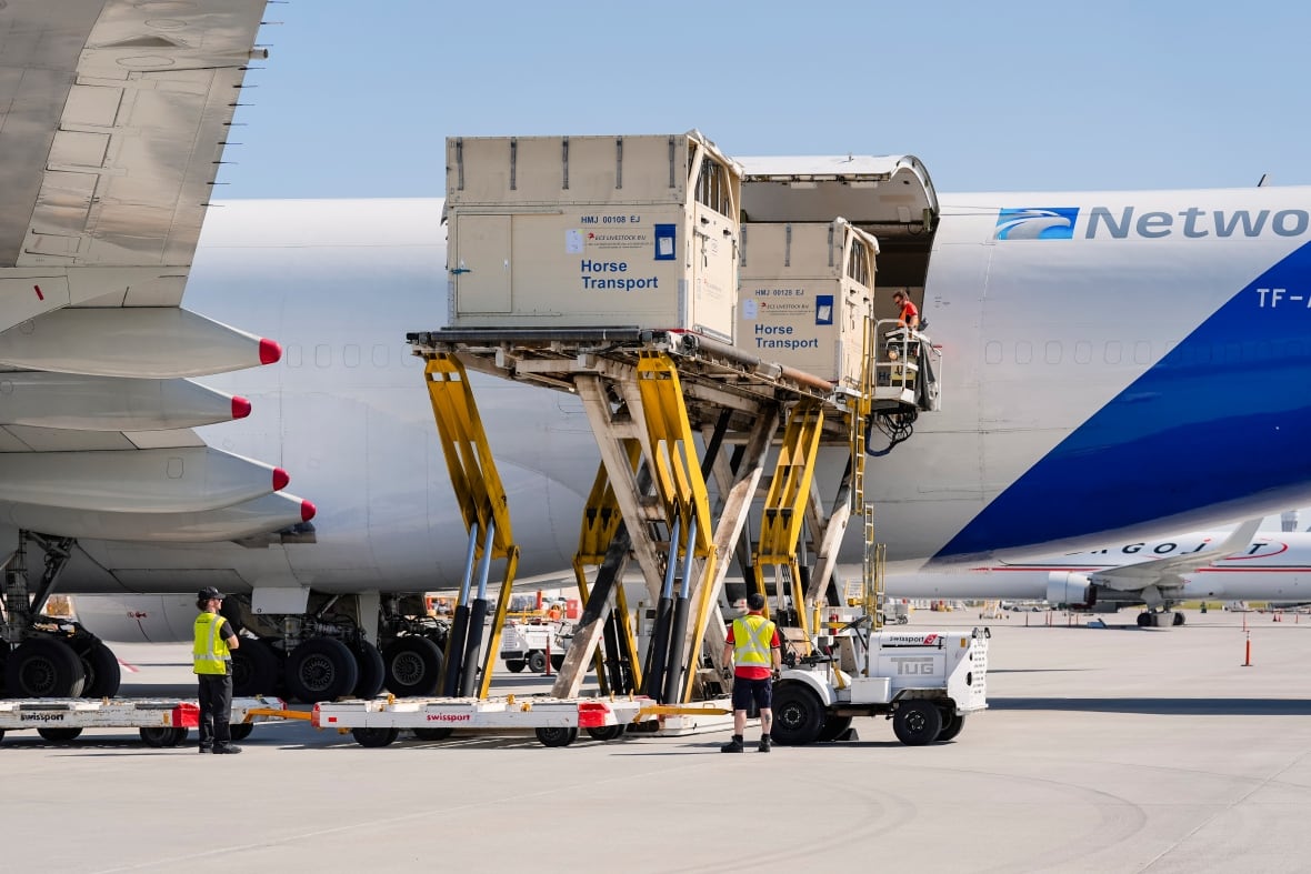 The Spruce Meadows letter at Calgary airport on Saturday, August 30, 2025. Once the tournament is concluded on Sunday, horsepower services will begin to plan transport for next year's event.