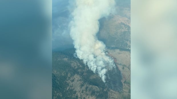 Smoke arises from a forested hill.