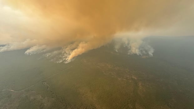 A treed landscape is seen from above, with thick smoke filling the sky. 
