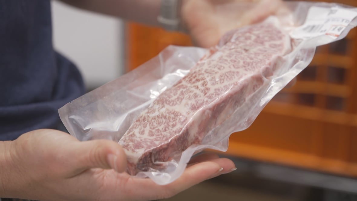A cut of raw meat in plastic wrap held in a person's hand. 