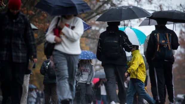 Students in sweatshirts and carying backpacks huddle under umbrellas as they walk near trees on a dark, rainy day. 