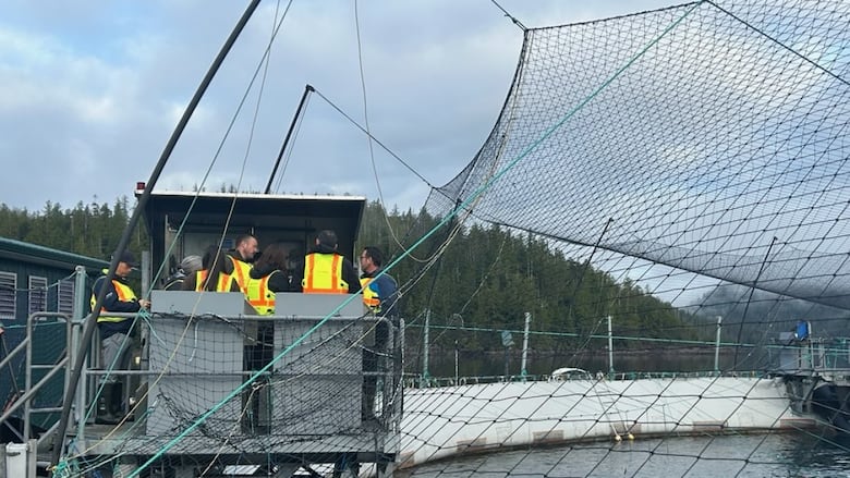 Photo shows a group of people in bright work vests standing on a platform at the edge of a netted pen in water. 