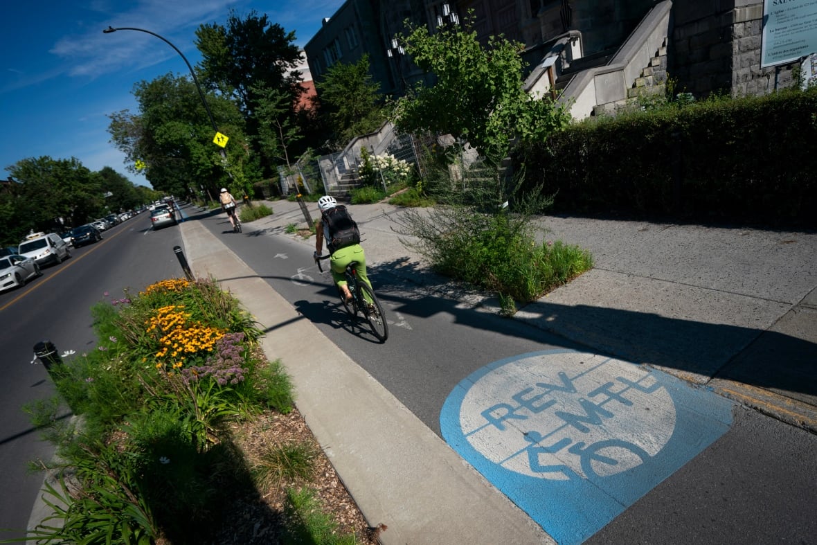 cyclists on a bike path