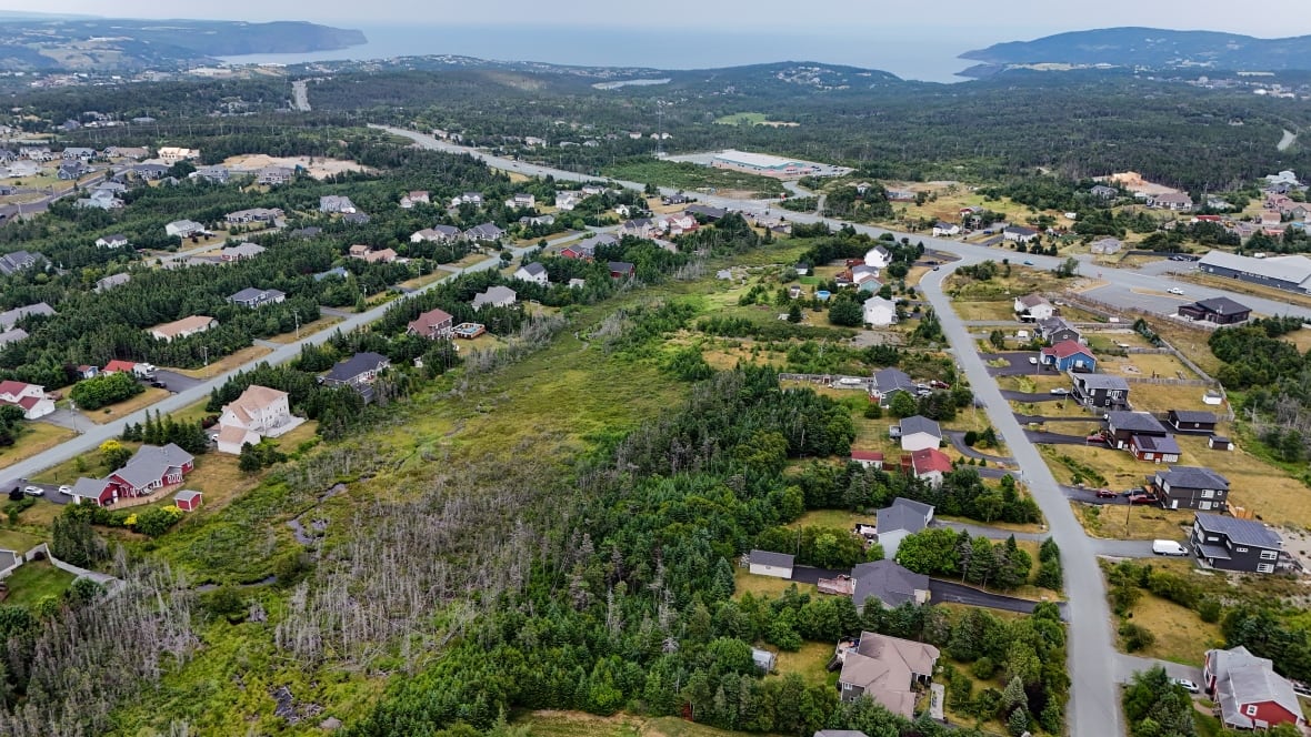 A wetland and homes surrounding it are seen from an aerial view.