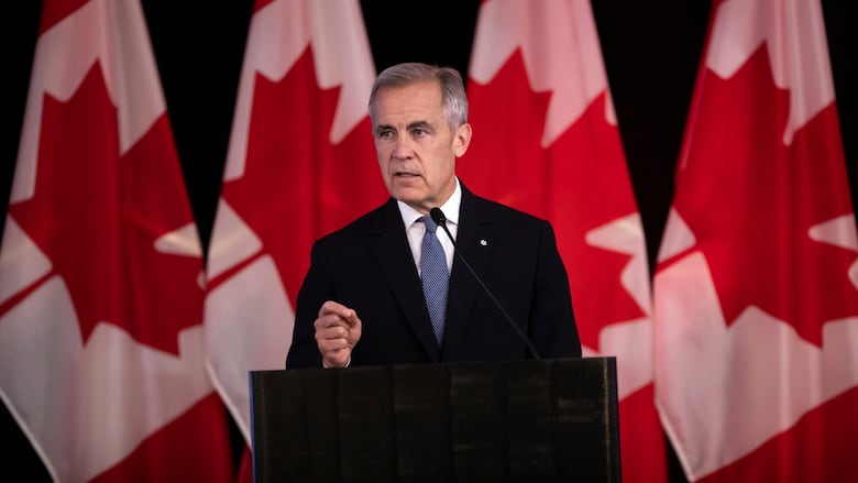 Prime Minister Mark Carney