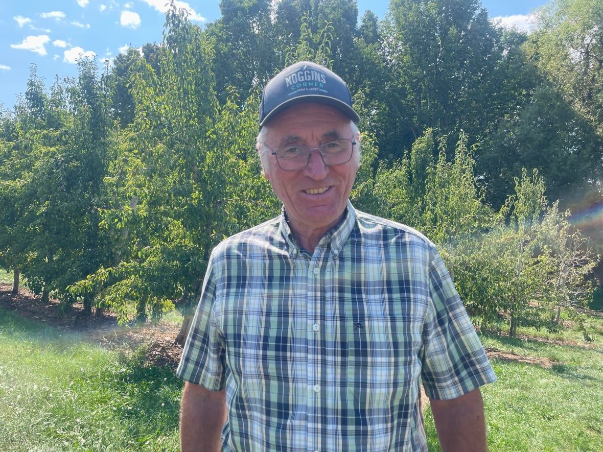 A man with white hair wears a ball cap and plaid shirt. He poses in front of a pear orchard. 