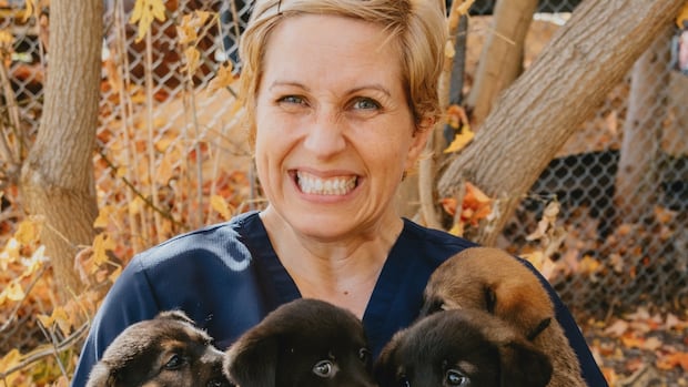 Have you ever wanted to foster an animal? Ontario's SPCA says it urgently needs volunteers | CBC News