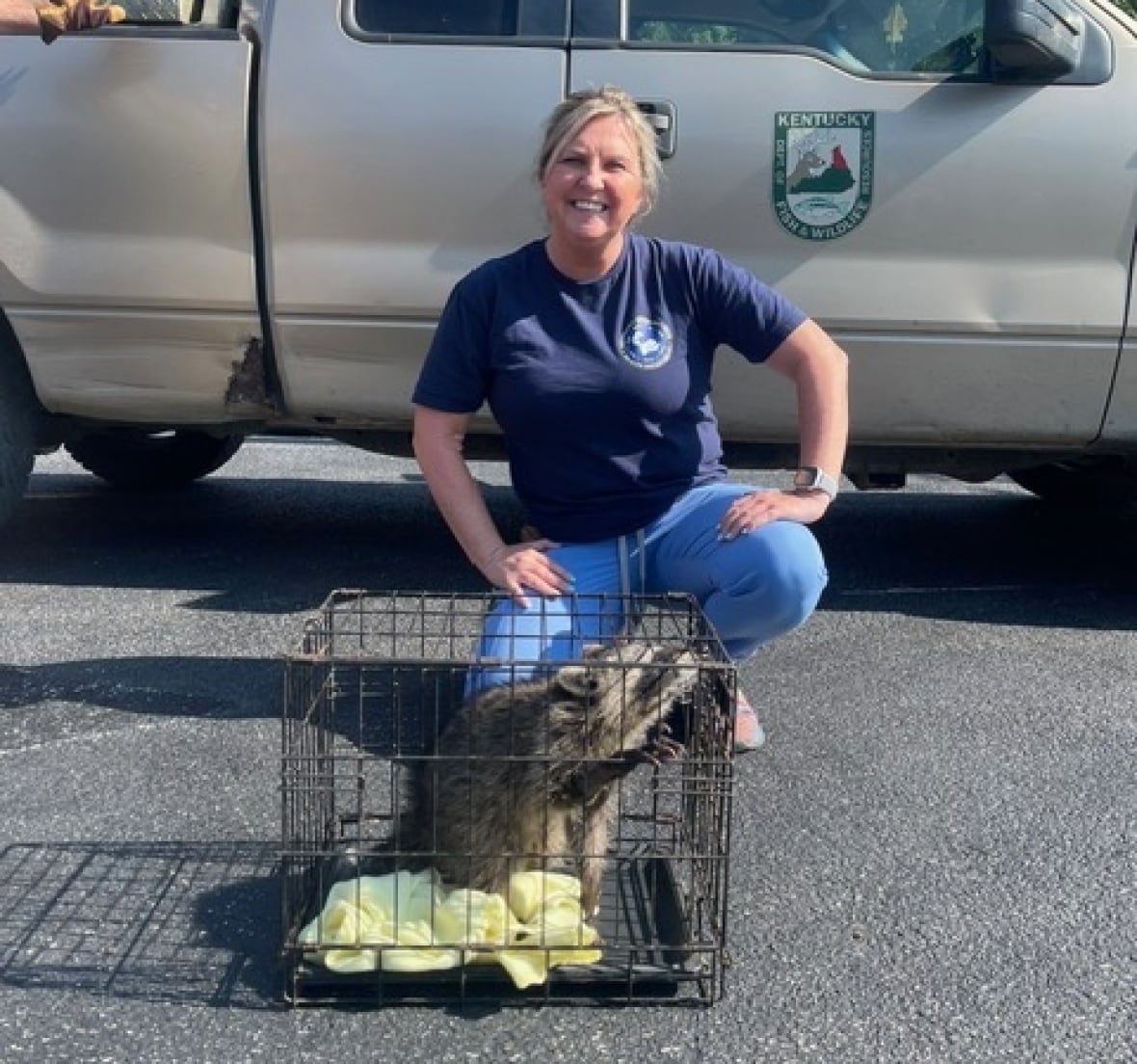 A smiling woman in jeans and rode a t -shirt in the sidewalk in front of a truck and behind a cage with the raccoon in it.