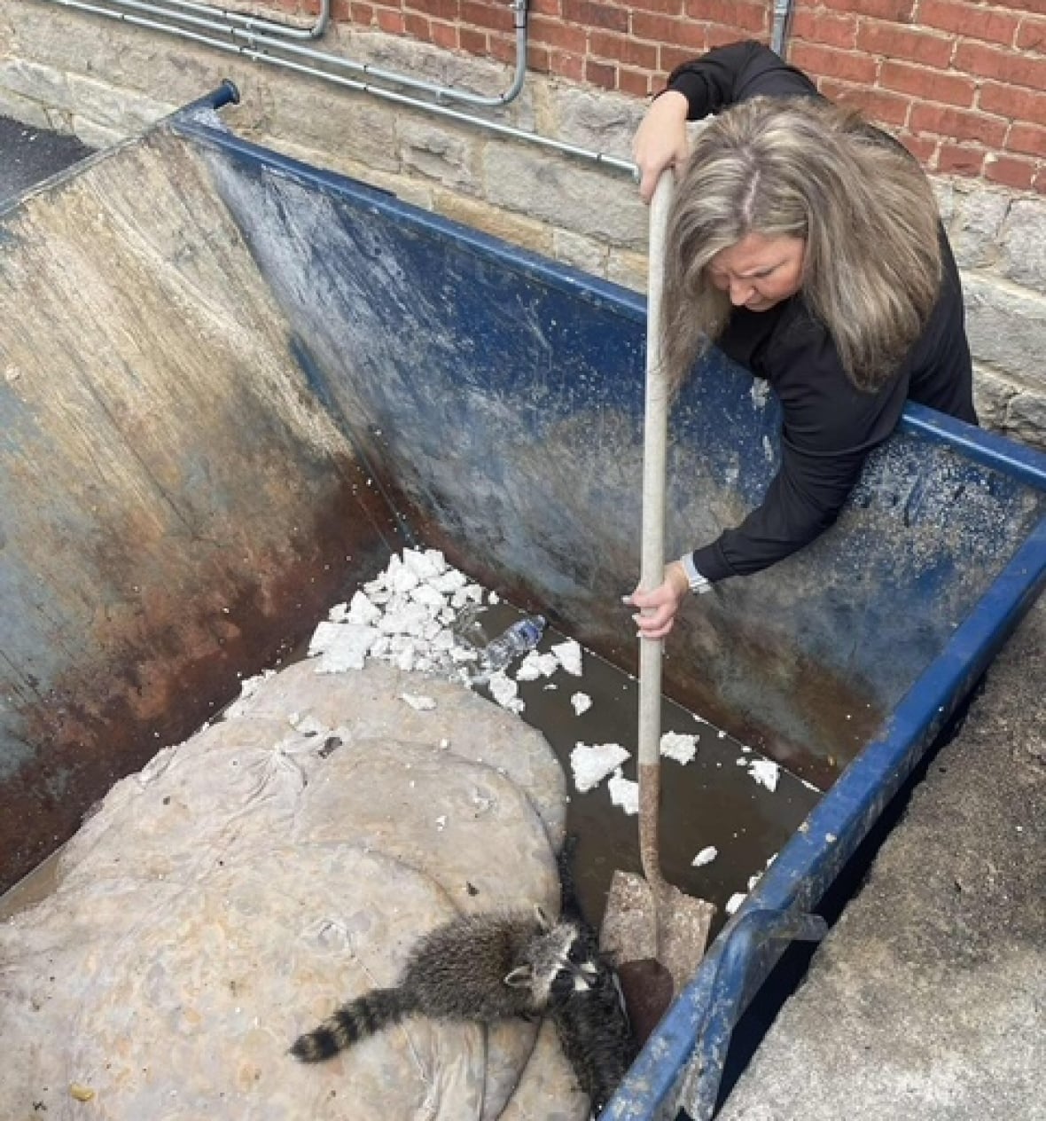 A video from above the root around her in the garbage with a shovel. Inside the garbage there is water, two large bags, and perhaps a child, floating on a bag, looking for the camera. 