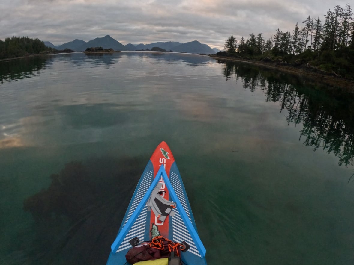 The tip of a paddle board on the water with mountains, trees and ocean in the distance.