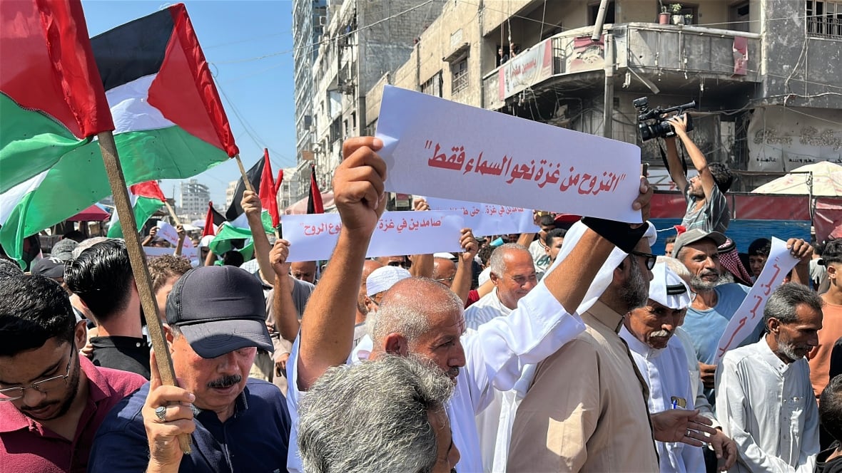 A protest in Gaza City for people who say they will not want Israeli warnings to transfer their families to the southern part of the pocket. Smochs include their signs, 
