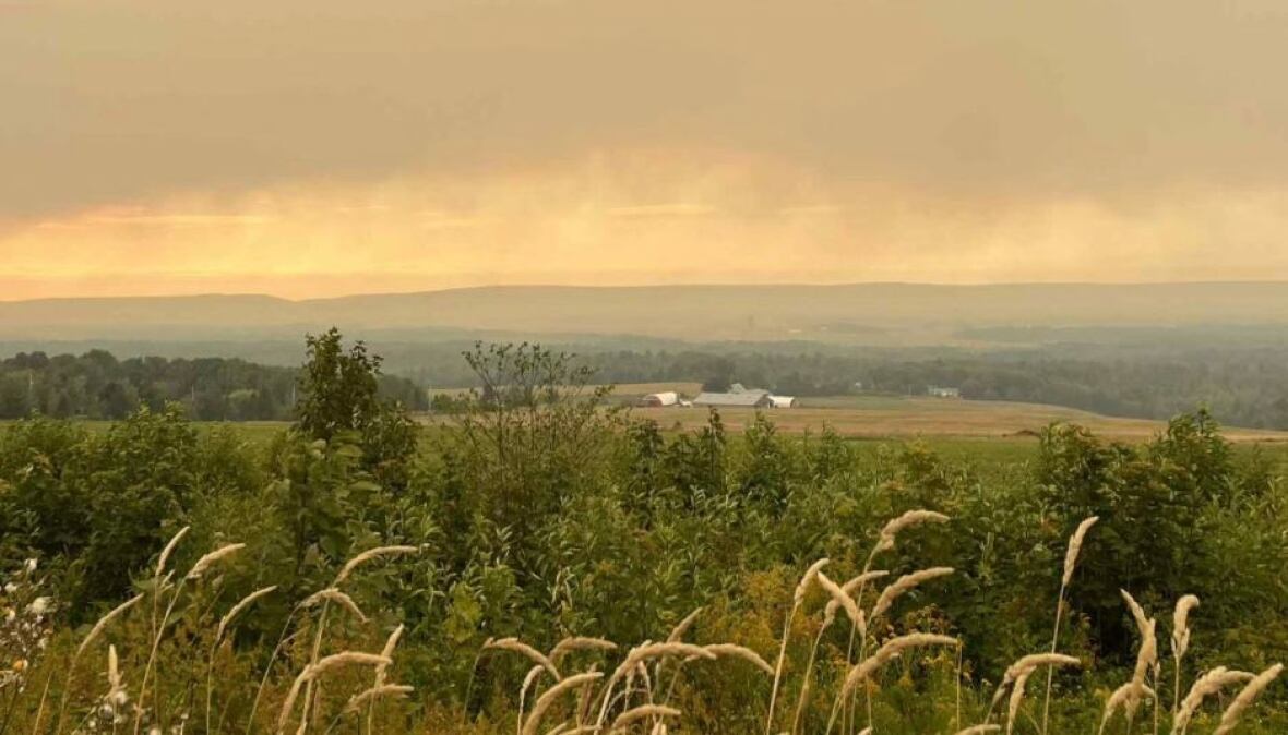 Smoke fills a yellow-ish sky above a valley