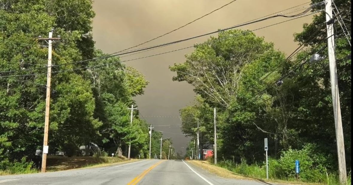 Smoke fills the sky over a a narrow road bounded by tree on each side.