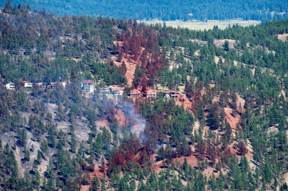 A landscape with houses amid trees. Some trees are coloured red.