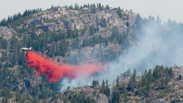 A plane flying above smoke-filled trees drops red fire retardant.