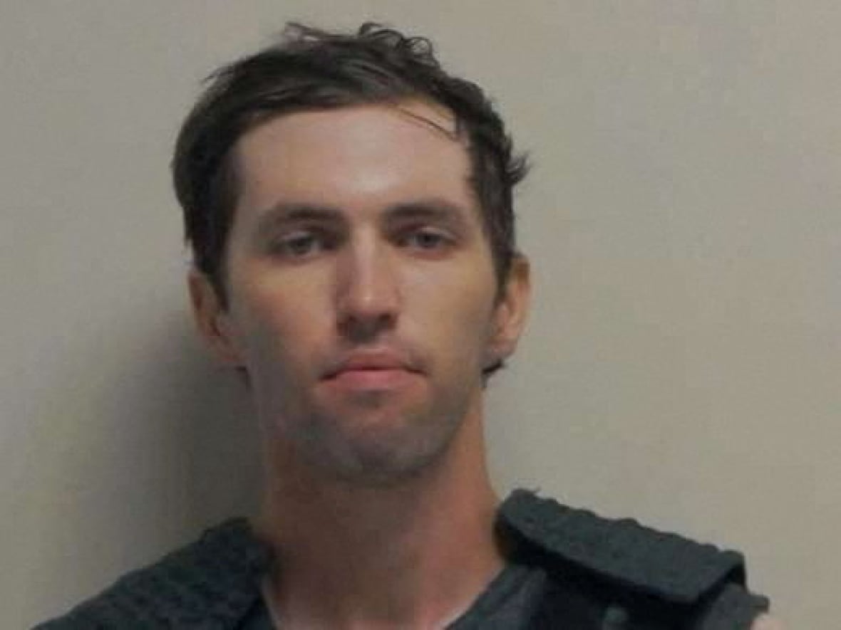 A clean young man appears and brown hair appears to be a police shot.