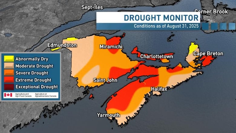 This section of the Canadian Drought Monitor map incorporating data as of Aug. 31 shows much of the Atlantic region either red for extreme drought or shades of orange for moderate to severe drought.  