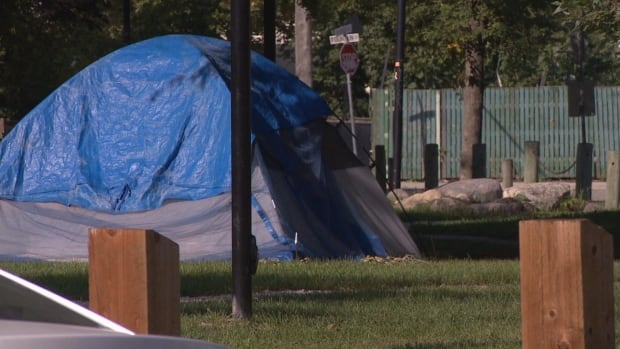 A blue tent sits on grass.