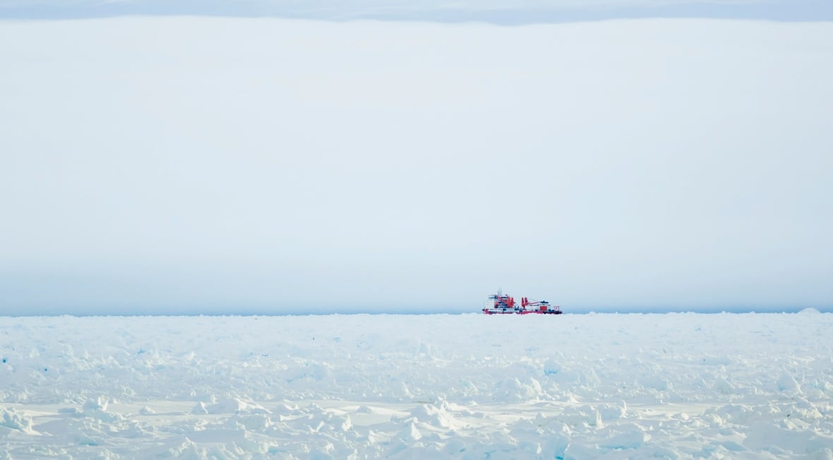 The ship is weakly visible in the distance amid an ice pack and a wide white sky.